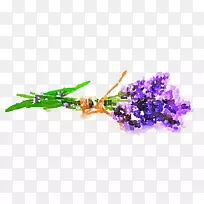 ͸Ã÷Ë®²Ê»¨×ÏË®²Ê»-¿ÕÈôÍø ͸Ã÷Ë®²Ê»¨×ÏË®²Ê»-¿ÕÈôÍø