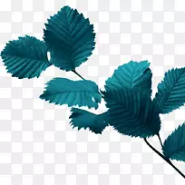 �������ⲩ����Ӱ�ռ�-������