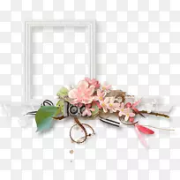 ������ƻ���������-��-������