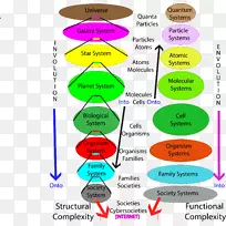 数学数学家数学结构逻辑-数学-空若网 数学数学家数学结构逻辑-数学-空若网