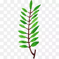 Ҷֲ�ﾥ֦������ˮ�ʻ�Ҷ-������