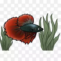 ²å»ÒÕÊõÀ¥³æ¿ª»¨Ö²Îï.±´Ëþ»ÕÕÂ-¿ÕÈôÍø ²å»ÒÕÊõÀ¥³æ¿ª»¨Ö²Îï.±´Ëþ»ÕÕÂ-¿ÕÈôÍø