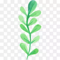 叶水彩画.水彩-空若网 叶水彩画.水彩-空若网