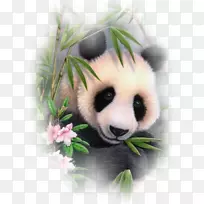 大熊猫熊刺绣十字绣熊-空若网 大熊猫熊刺绣十字绣熊-空若网