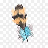 羽毛插画-空若网 羽毛插画-空若网