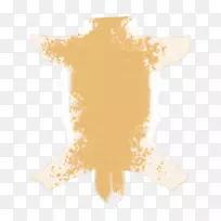 ����ɹ��-������