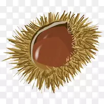 ͼÊé²å»Éè¼ÆÇï-¿ÕÈôÍø ͼÊé²å»Éè¼ÆÇï-¿ÕÈôÍø