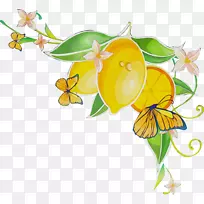 ºûµû²åͼÀ¥³æm/0d¼ôÌù»-¿ÕÈôÍø ºûµû²åͼÀ¥³æm/0d¼ôÌù»-¿ÕÈôÍø