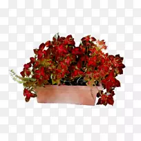 花卉设计,切花,花束,人造花-空若网 花卉设计,切花,花束,人造花-空若网