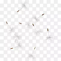 ���������ֽͼ����������ѹ�Ӣ͸��-������