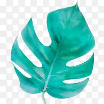 叶绿松石-空若网 叶绿松石-空若网