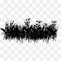 黑白字体-空若网 黑白字体-空若网