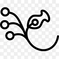 对称形状png图片计算机图标图形.Brach-空若网 对称形状png图片计算机图标图形.Brach-空若网