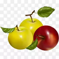 亚洲梨果-青苹果-空若网 亚洲梨果-青苹果-空若网