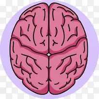 ǰ�Լ������񾭲�ѧ.�Կ�ѧ-������