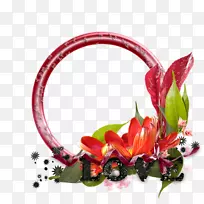 中心博客图片.书目框架-空若网 中心博客图片.书目框架-空若网