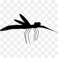 ����ڰ׽��߼�����-������