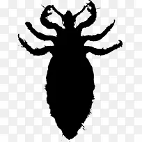 ͼ£¬¼ôÌù»£¬²åͼ£¬Ê×Ó£¬À¥³æ-¿ÕÈôÍø ͼ£¬¼ôÌù»£¬²åͼ£¬Ê×Ó£¬À¥³æ-¿ÕÈôÍø