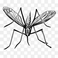 �ó�������ڰ�������-������