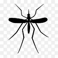剪贴画蚊子png图片插图图像-空若网 剪贴画蚊子png图片插图图像-空若网