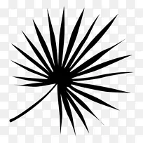 黑白叶对称角线-空若网 黑白叶对称角线-空若网