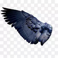 ����pngͼƬ��������������ʹ�����-������