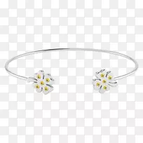 珠宝耳环,手镯,项链,宝石.珠宝-空若网 珠宝耳环,手镯,项链,宝石.珠宝-空若网