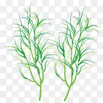 ��Ӱ��˰-��Ѳ�ͼͼ��-���-������