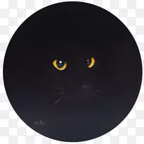 胡须猫鼻子黑猫-空若网 胡须猫鼻子黑猫-空若网