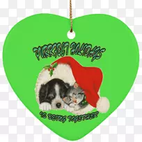 è��ʥ���ճ���è-������