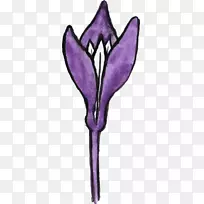 开花植物紫丁香水彩花-空若网 开花植物紫丁香水彩花-空若网