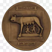 ���¶���-������-������