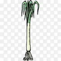 剪贴画露天蔬菜png图片图像蔬菜-空若网 剪贴画露天蔬菜png图片图像蔬菜-空若网