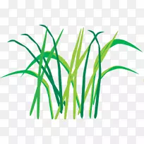 白果叶植物茎夹艺术草本植物-假胡枝子草图标-空若网 白果叶植物茎夹艺术草本植物-假胡枝子草图标-空若网