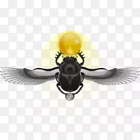 古埃及甲虫-空若网 古埃及甲虫-空若网