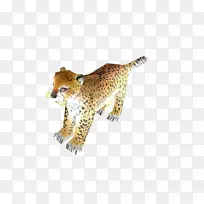 �Ա�è�����Ա�-������