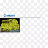 ��Ʒ��-���缶-������