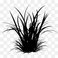 观赏草夹艺术草png图片电脑图标-空若网 观赏草夹艺术草png图片电脑图标-空若网