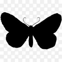 蝴蝶昆虫剪影剪贴画-空若网 蝴蝶昆虫剪影剪贴画-空若网