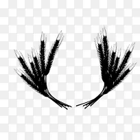 �ڰ����Ͳ�-������