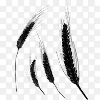 �ڰײ�-������