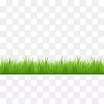 草坪桌面壁纸夹艺术-草-空若网 草坪桌面壁纸夹艺术-草-空若网