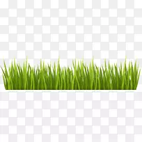 ²Ýƺ»¨Ô°¼ôÌù»-²Ý-¿ÕÈôÍø ²Ýƺ»¨Ô°¼ôÌù»-²Ý-¿ÕÈôÍø