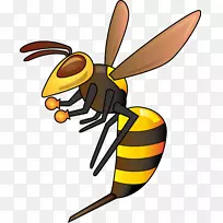 真黄蜂-空若网 真黄蜂-空若网