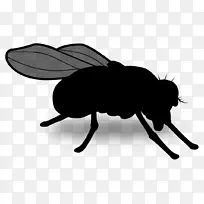 甲虫剪艺术剪影传粉昆虫-空若网 甲虫剪艺术剪影传粉昆虫-空若网