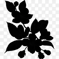 ͼ����ӰҶ����ֲ��-������