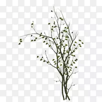 png图片剪贴画树枝树图像树-空若网 png图片剪贴画树枝树图像树-空若网
