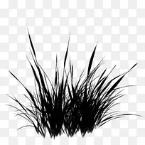 桌面壁纸电脑草黑m-空若网 桌面壁纸电脑草黑m-空若网