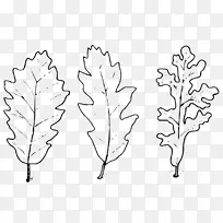 小枝植物茎叶对称字体-空若网 小枝植物茎叶对称字体-空若网