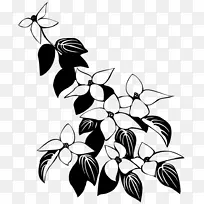 剪贴画昆虫叶植物茎型-空若网 剪贴画昆虫叶植物茎型-空若网